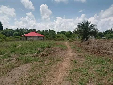 DIANI PARADISE COASTAL PLOTS FOR SALE