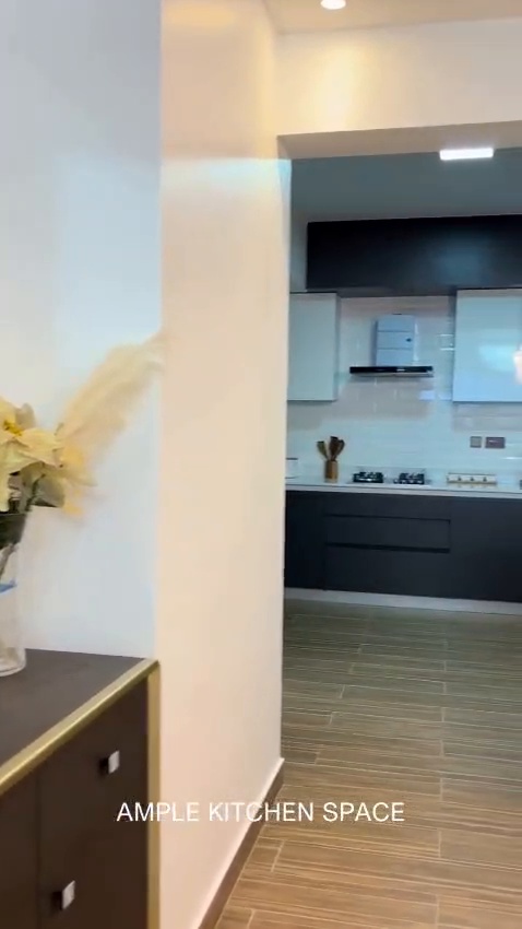 Elegant 3 Bedroom Apartments with DSQ in Syokimau