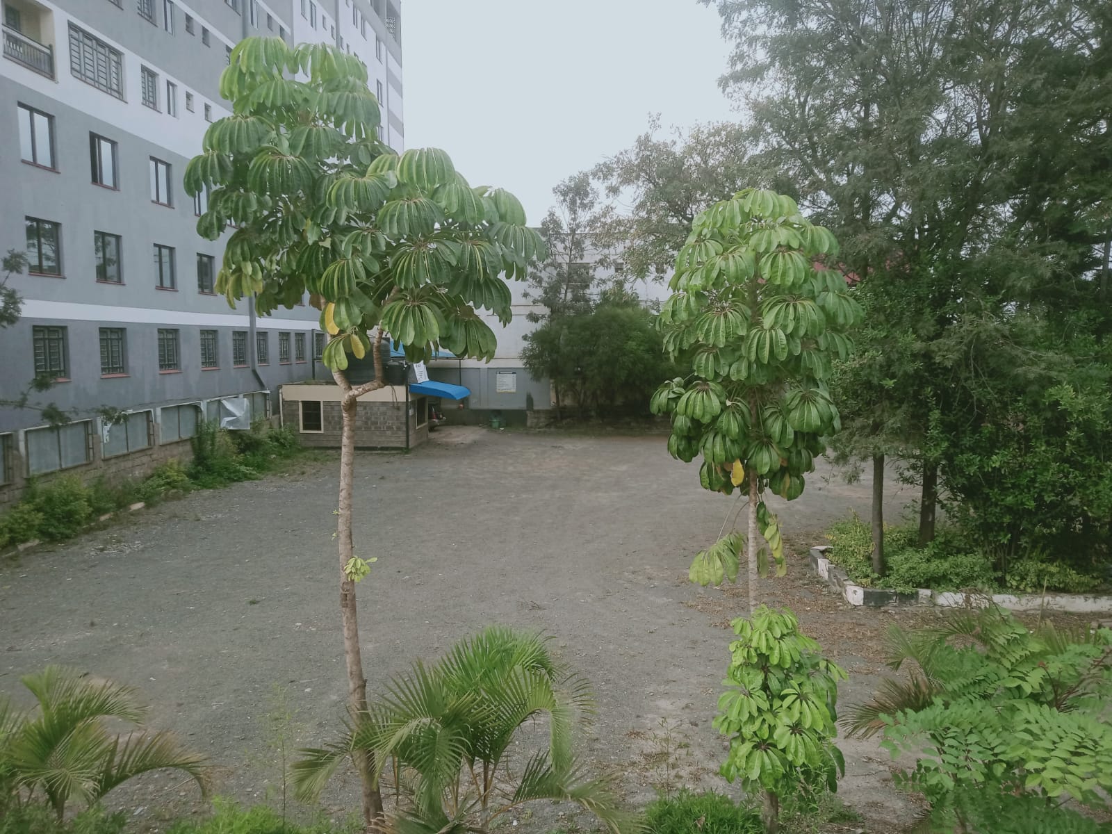 Sophiscated Commercial Property for Lease in Rongai,Malindi Road