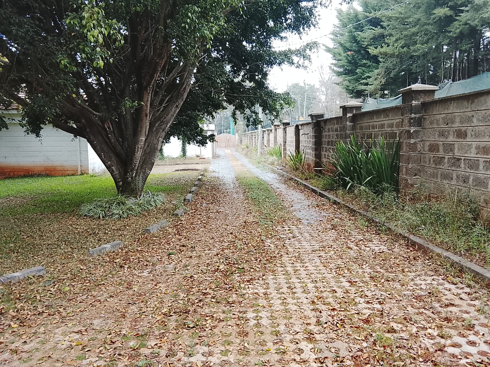 Prestigious 1 Acre with a 5 Bedroom Villa in Lavington , James Gichuru