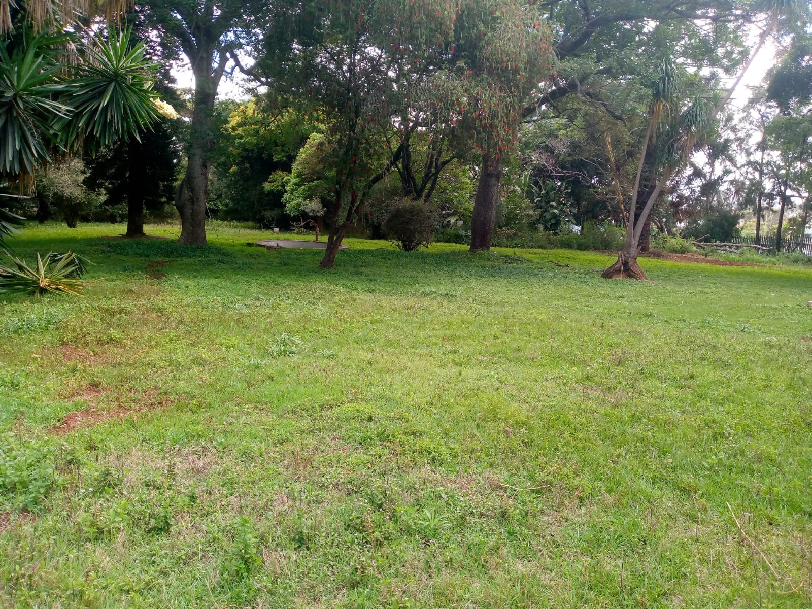 Prime 5 Acres Property in Kabarnet Gardens, off Ngong Road.